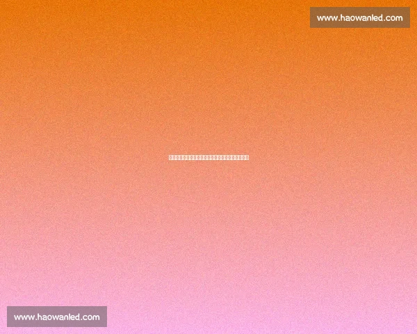 贵州女孩逐梦上海滩：从元宝村到职业队的铿锵之路